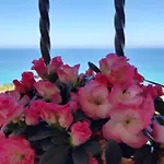 Nausica *